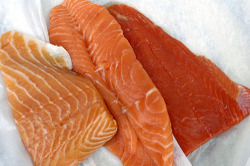 Zalm_2
