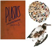 Plastic in de wereld van morgen, plastic in de wereld van vandaag Plastic in de wereld van morgen, plastic in de wereld van vandaag