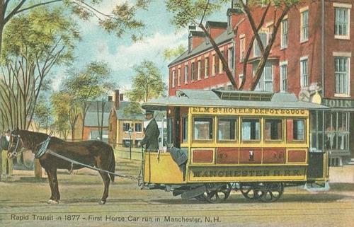 Paardentram Paardentram