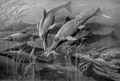 Uitgestorven_diersoorten_ichthyosau