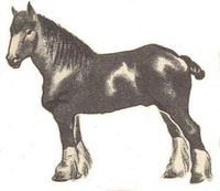 Paard_lowtechmagazine Paard_lowtechmagazine