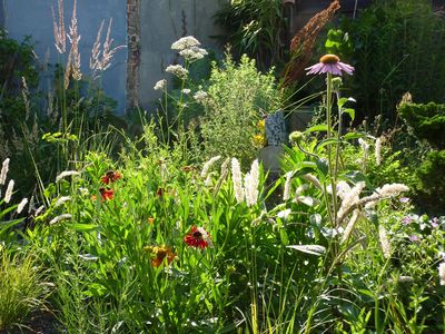 Prairietuin met bloemen Prairietuin met bloemen