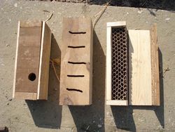 Kastjes beestentoren 1