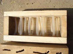 Kastjes beestenroen 2