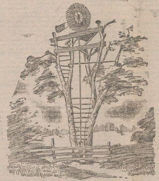 Een boom als windmolen