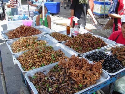 Insecten op de markt in thailand