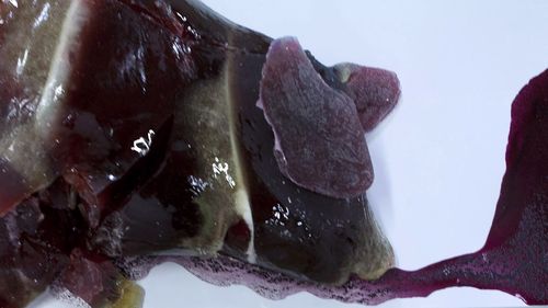 Meating-tentoonstelling-1