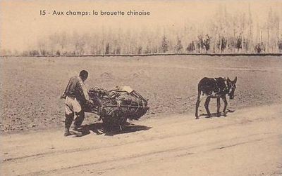 Chinese kruiwagen hybride mens en lastdier