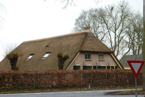 Knotlindes en leilindes