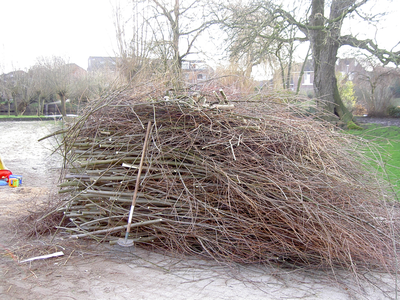 Brandhout knotwilgen