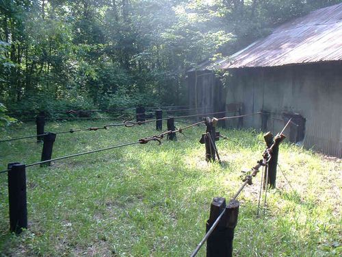 Stangenkunst met stalen kabels2 Stangenkunst met stalen kabels2