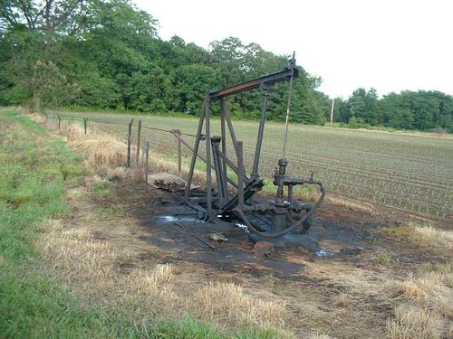 Ja-knikker Ja-knikker