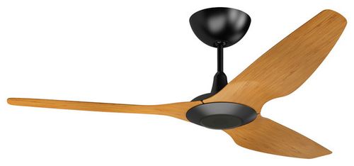 Ceiling fan