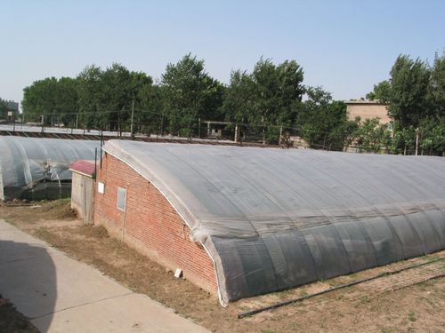 Solar greenhouse energy farms 1