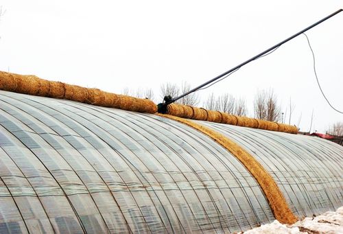 Chinese greenhouse automatic management of cover