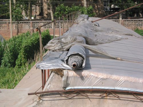 Solar greenhouse energy farms 2